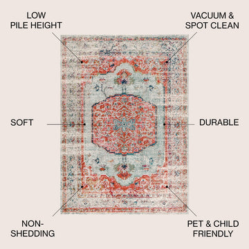 Andalus Vintage Medallion Area Rug
